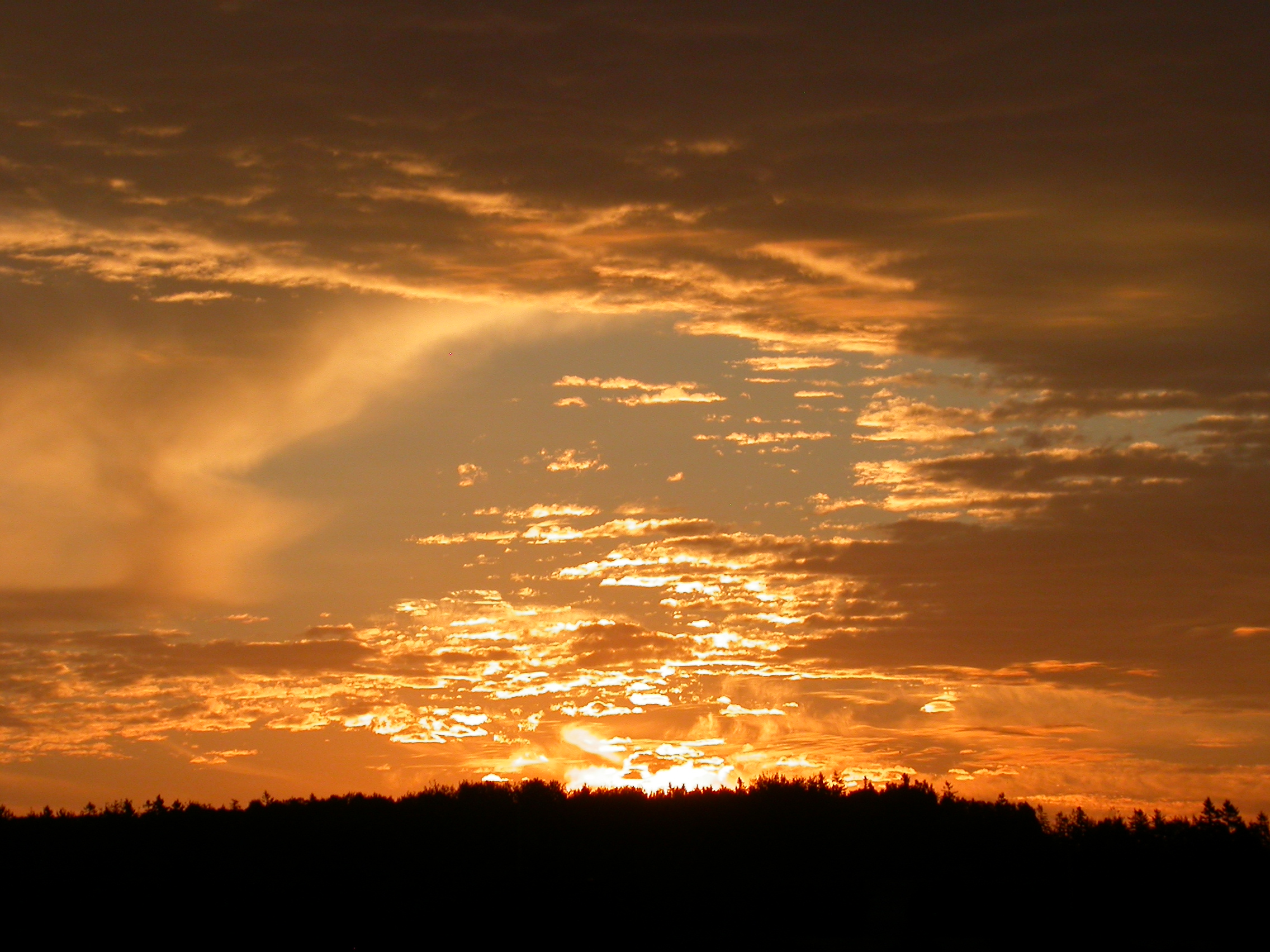 Path Sunset