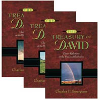 davids_treasury