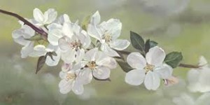 branch