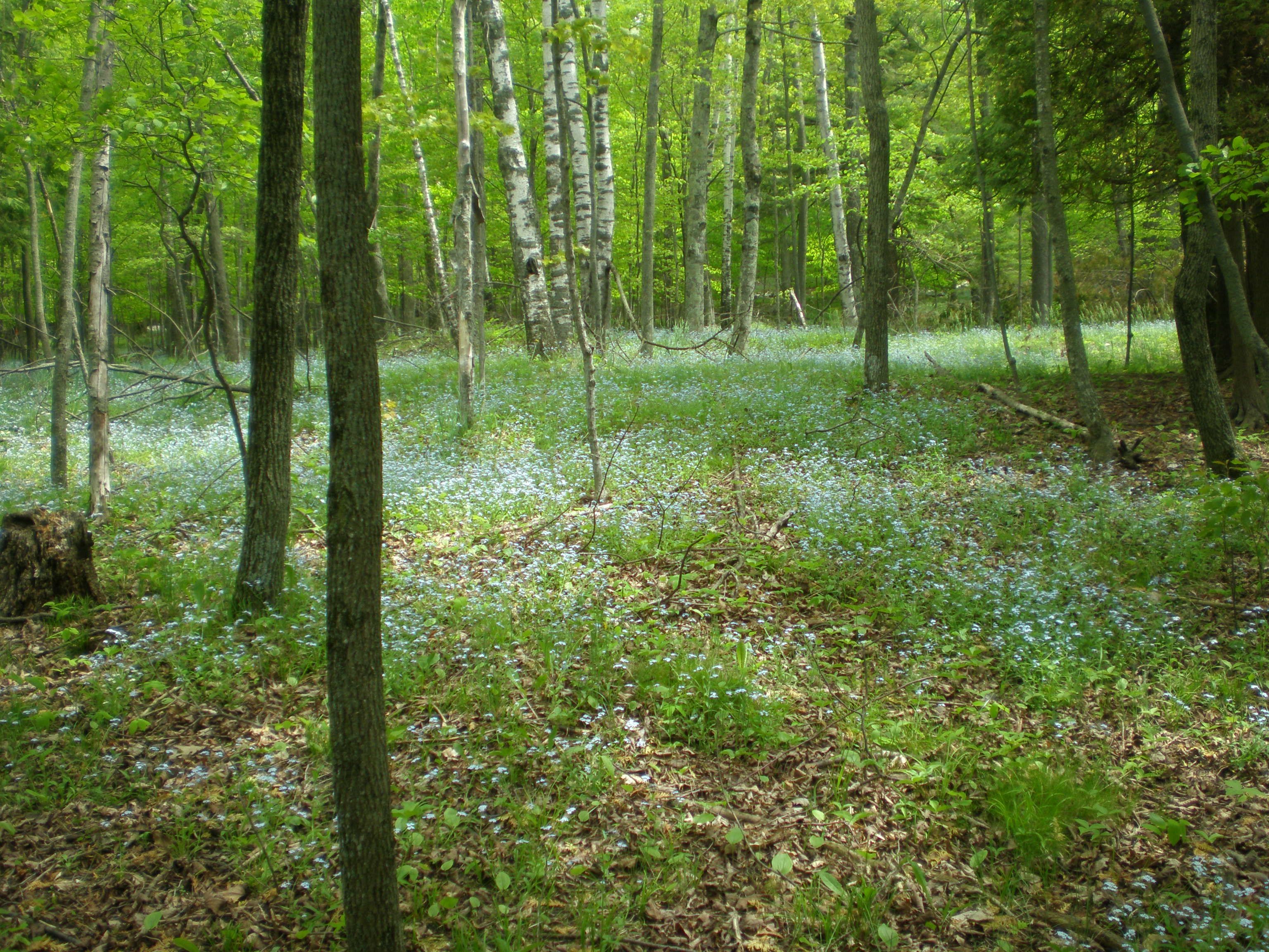 Peninsula Park, Wisconsin